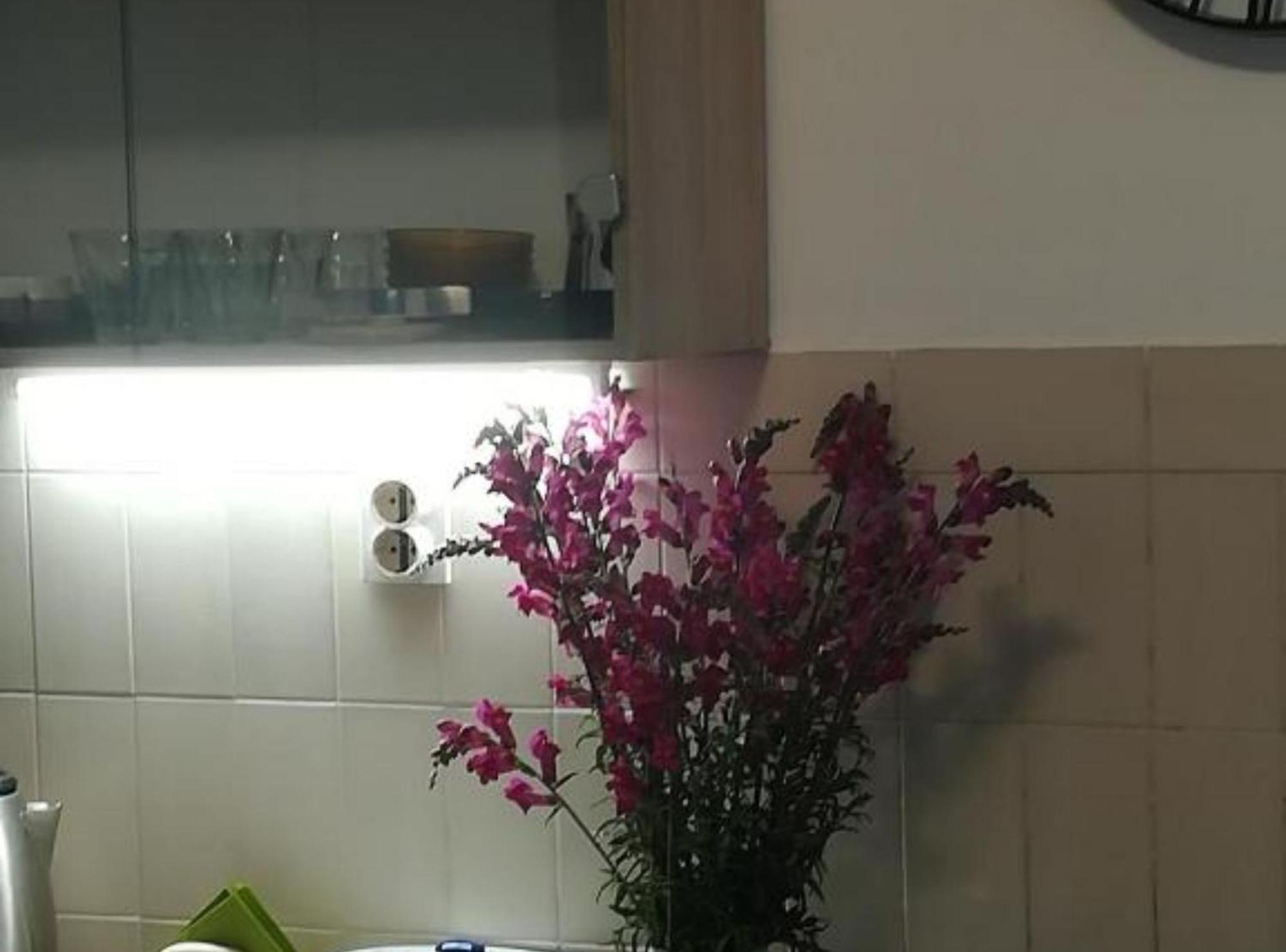 Apartman Olymp Osijek-Garaza Esterno foto