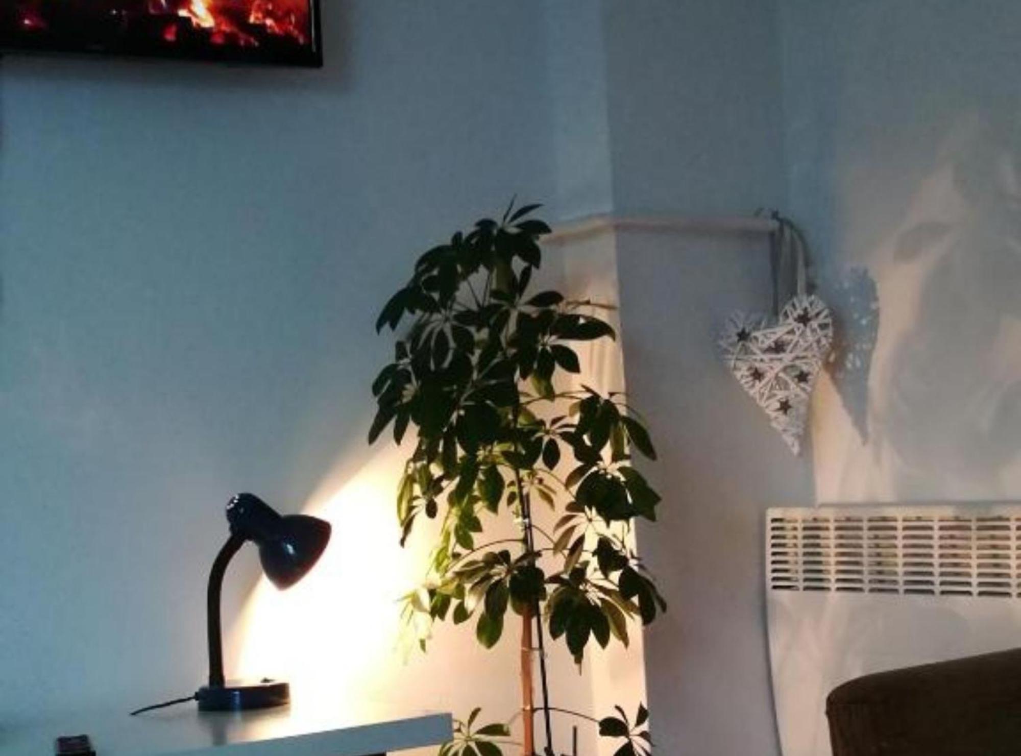 Apartman Olymp Osijek-Garaza Esterno foto